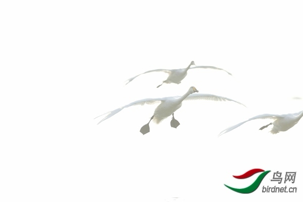 _E8J0830.jpg