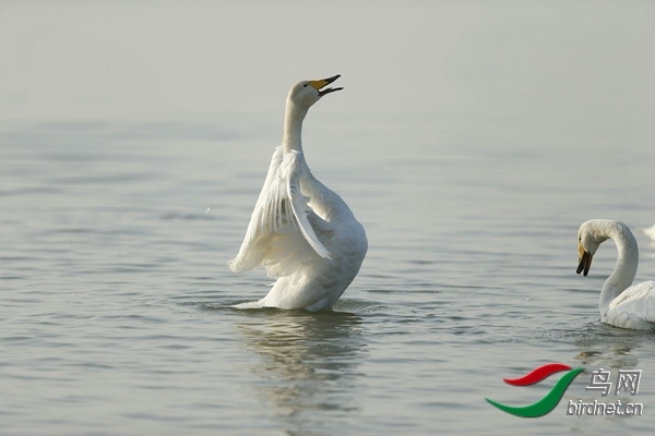 _E8J0862.jpg