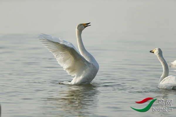 _E8J0859.jpg