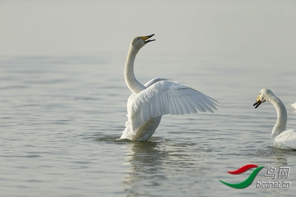 _E8J0861.jpg