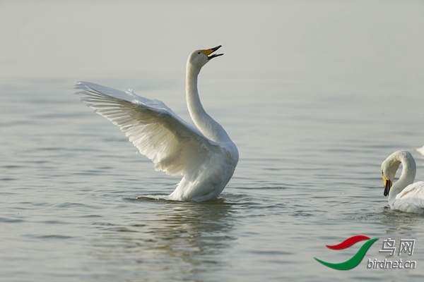 _E8J0863.jpg