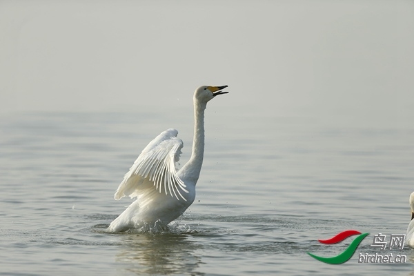 _E8J0870.jpg