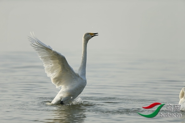 _E8J0868.jpg
