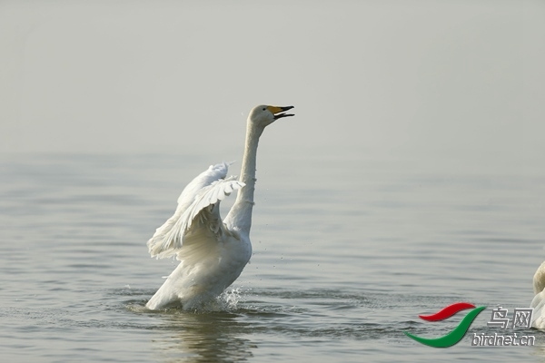 _E8J0869.jpg