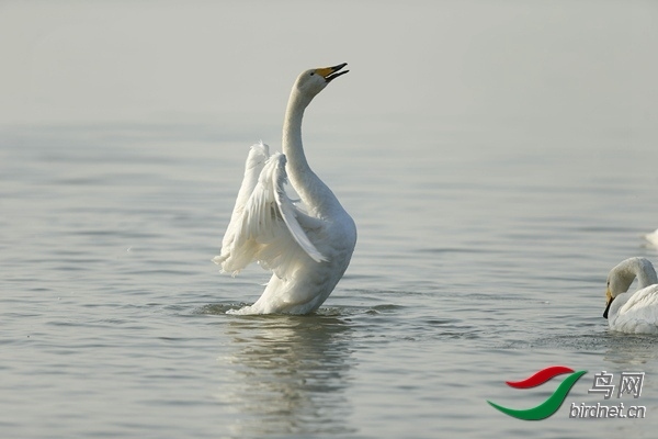 _E8J0866.jpg