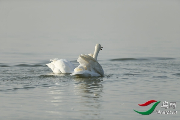 _E8J0872.jpg