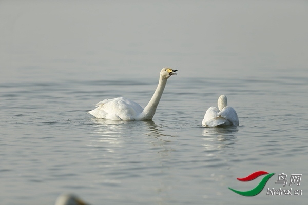 _E8J0880.jpg