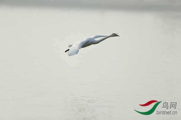 _E8J0890.jpg
