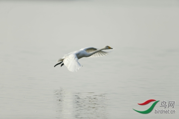 _E8J0893.jpg