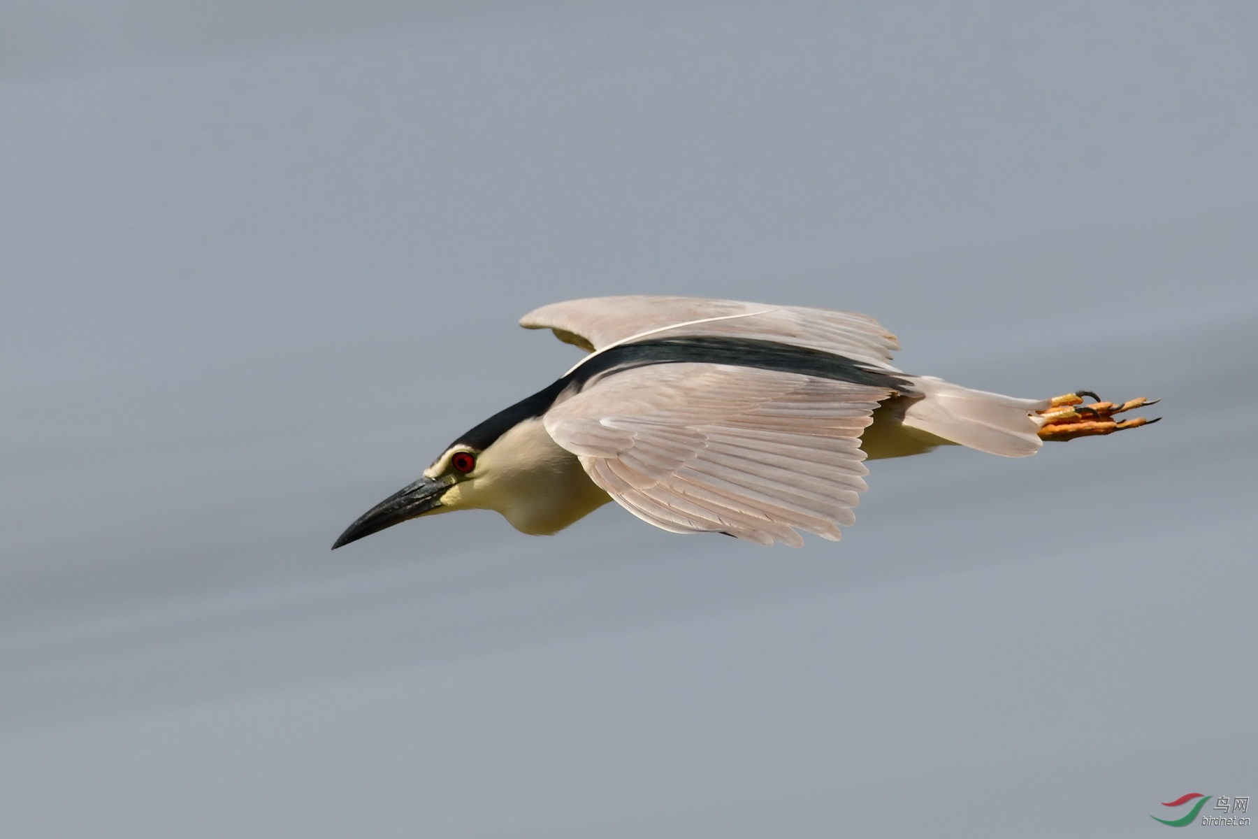 DSC_3088a.jpg