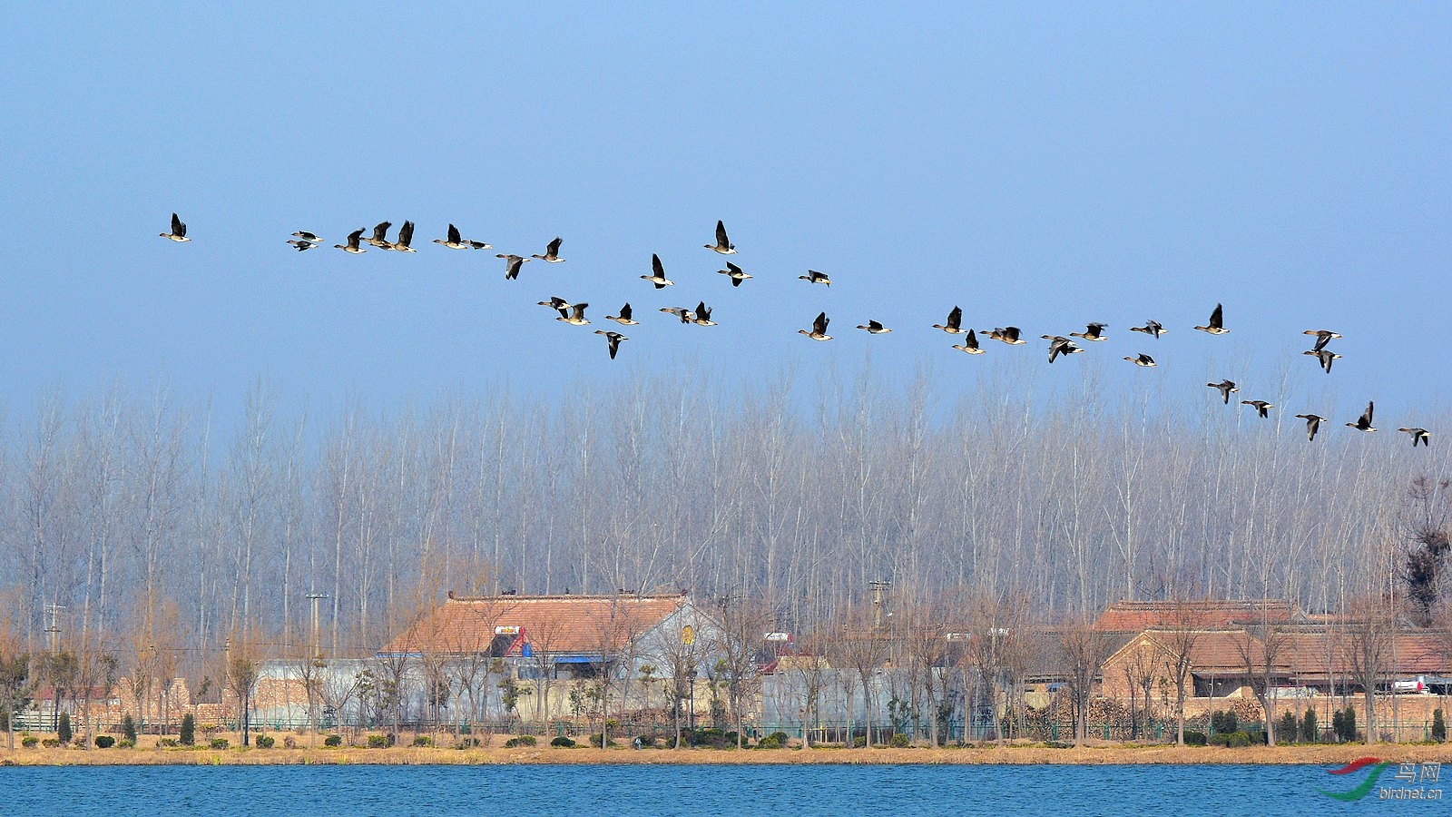 DSC_6953.JPG
