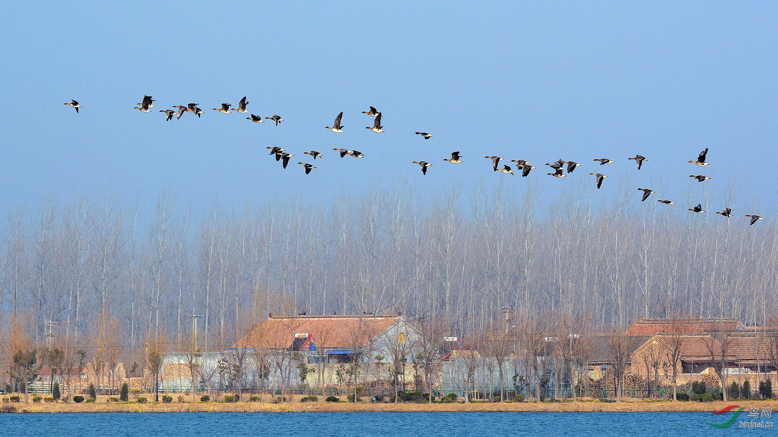 DSC_6954.JPG