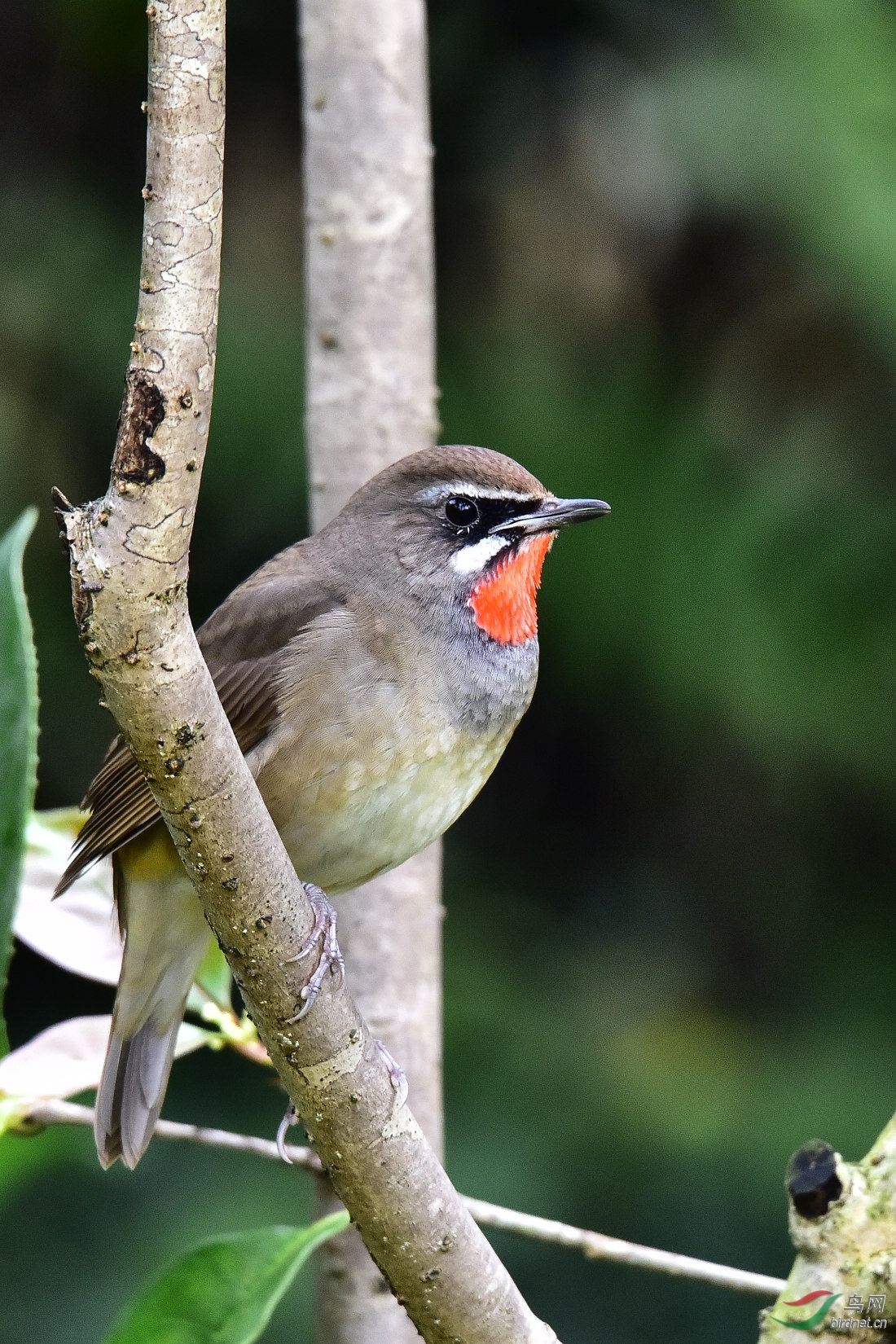 DSC_0371.JPG