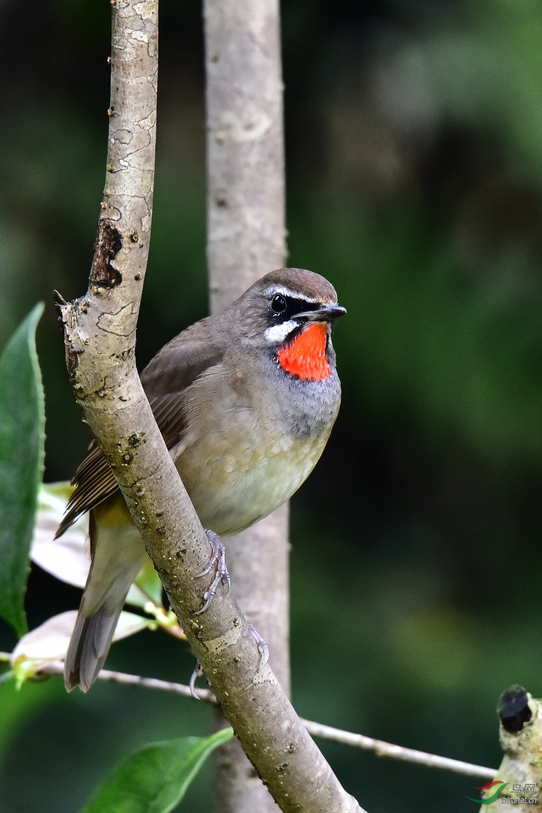 DSC_0372.JPG