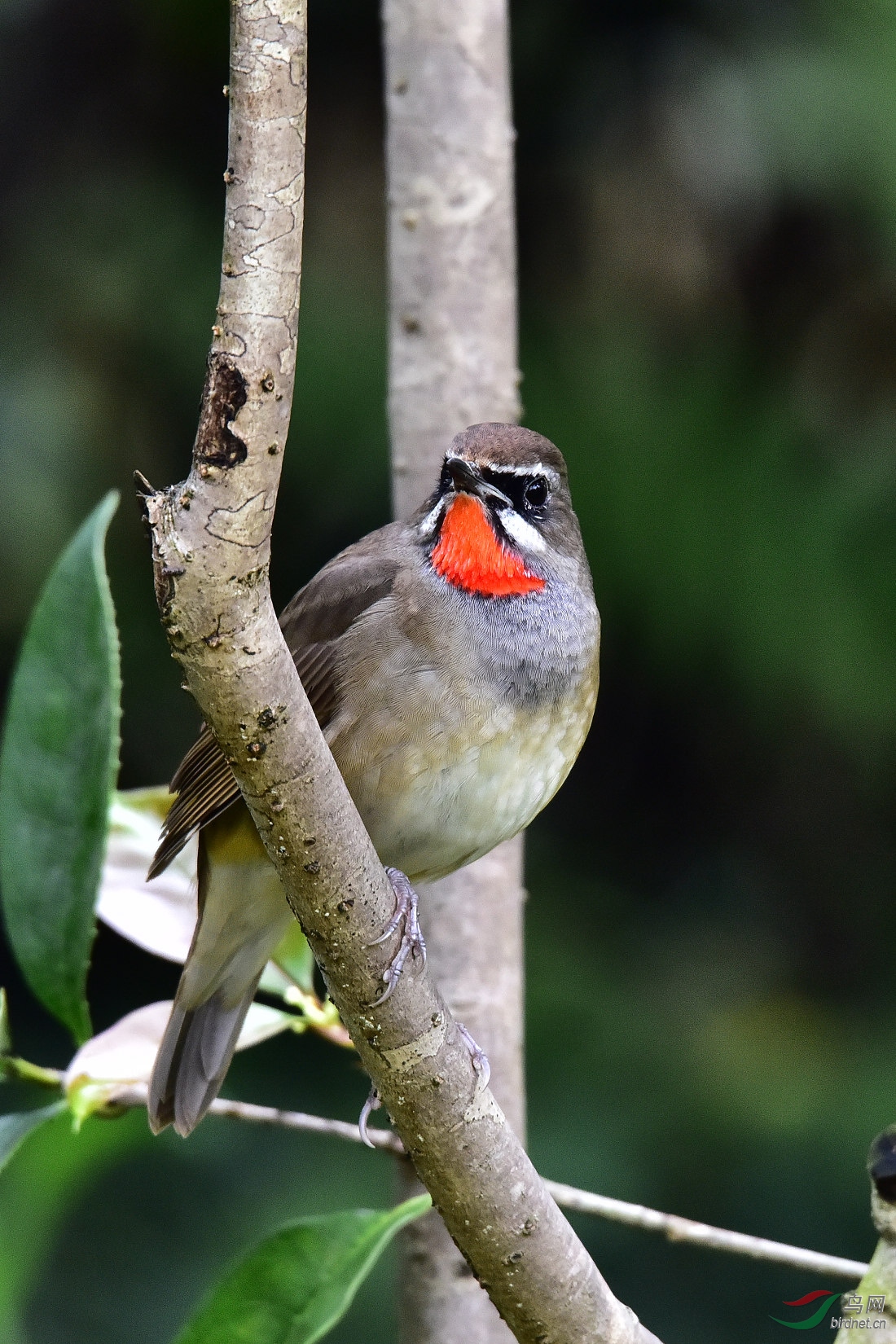DSC_0373.JPG
