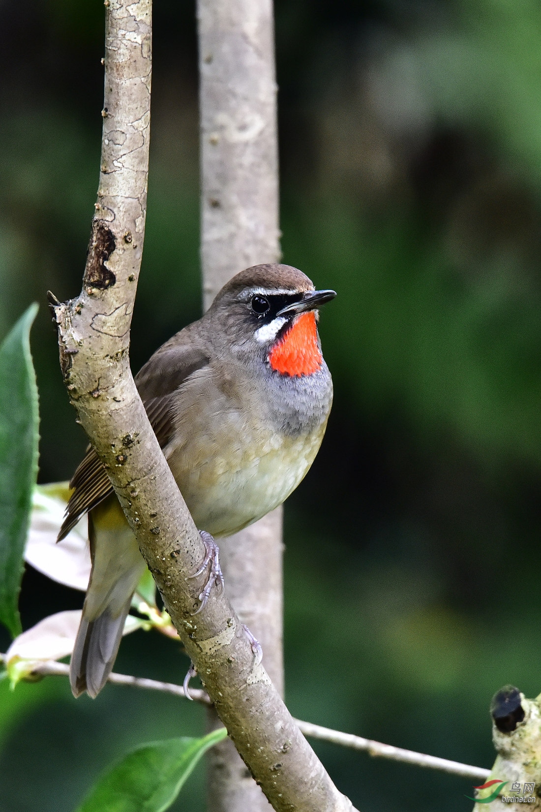 DSC_0375.JPG
