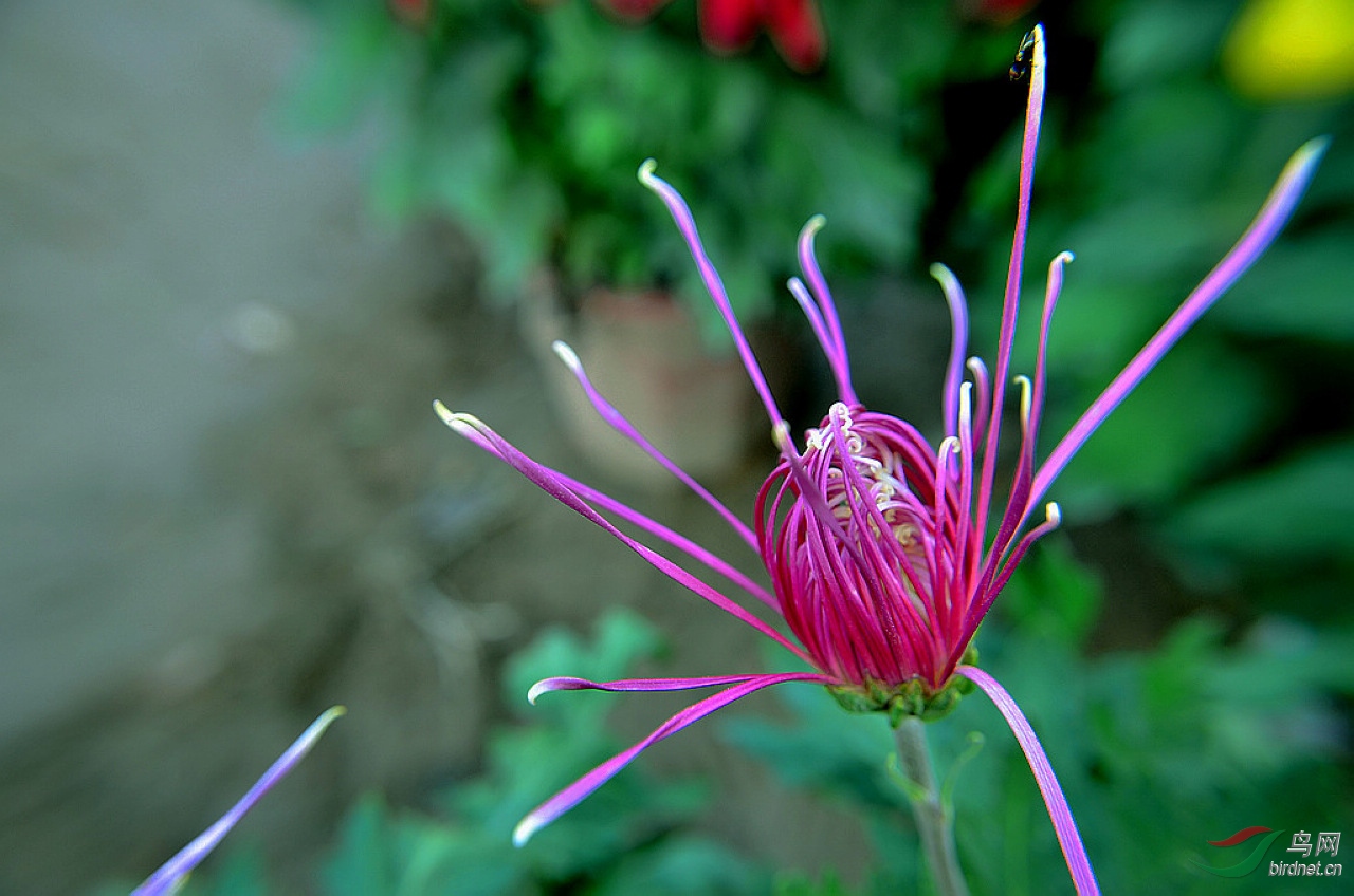 DSC_0812.JPG
