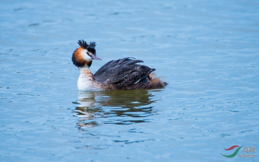 DSC_5527-2.jpg