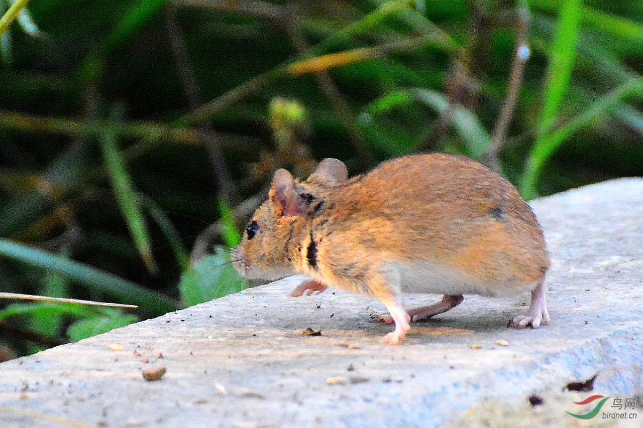 DSC_3705.JPG