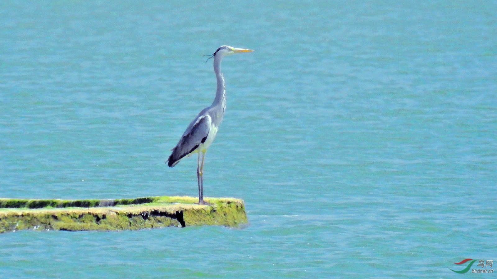 DSCN8560.JPG