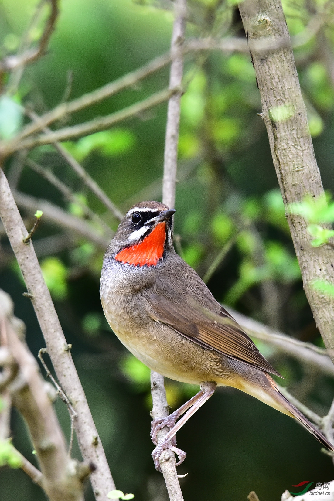 DSC_0381.JPG