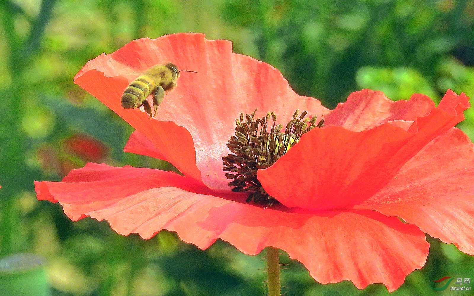 DSCN7780.JPG