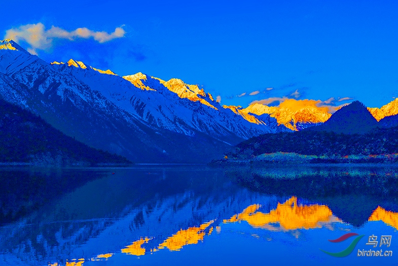 DSC_4795-2.jpg