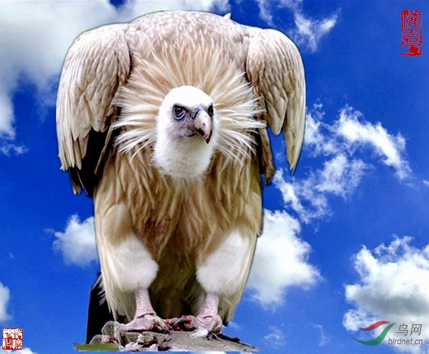C1CE5E96-180F-469C-8028-DB57CFD835D7.jpeg