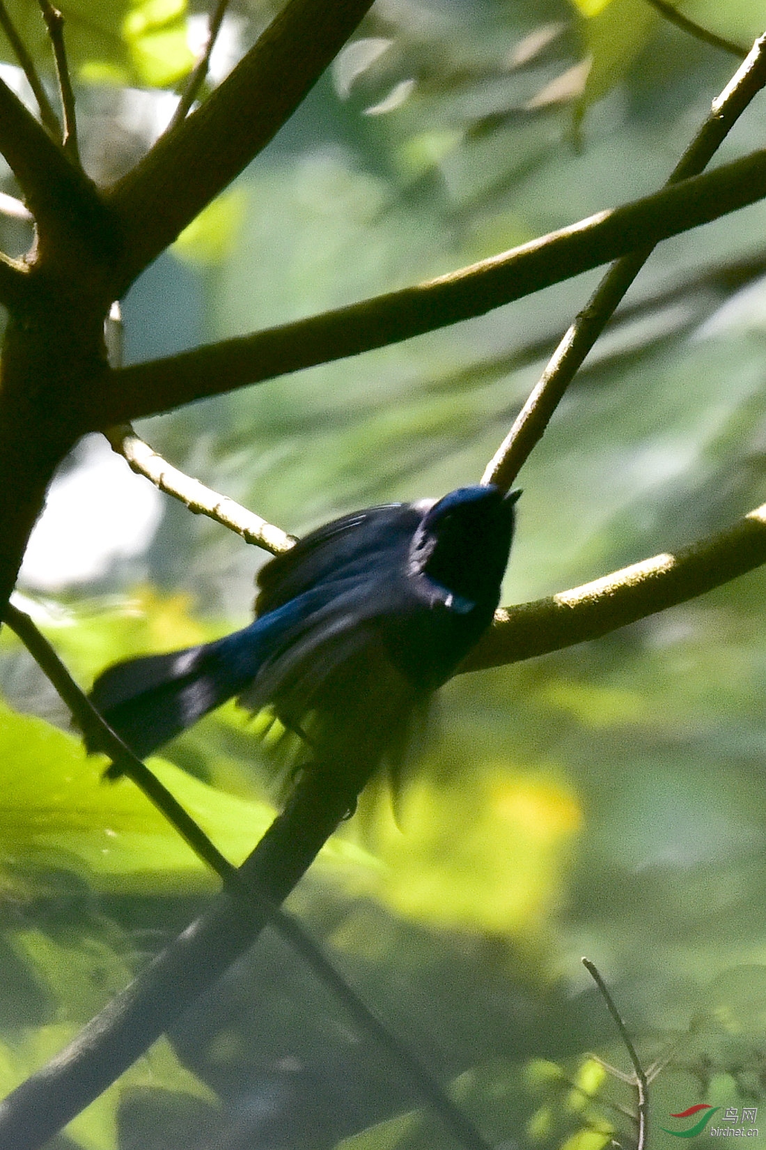 DSC_0382.JPG