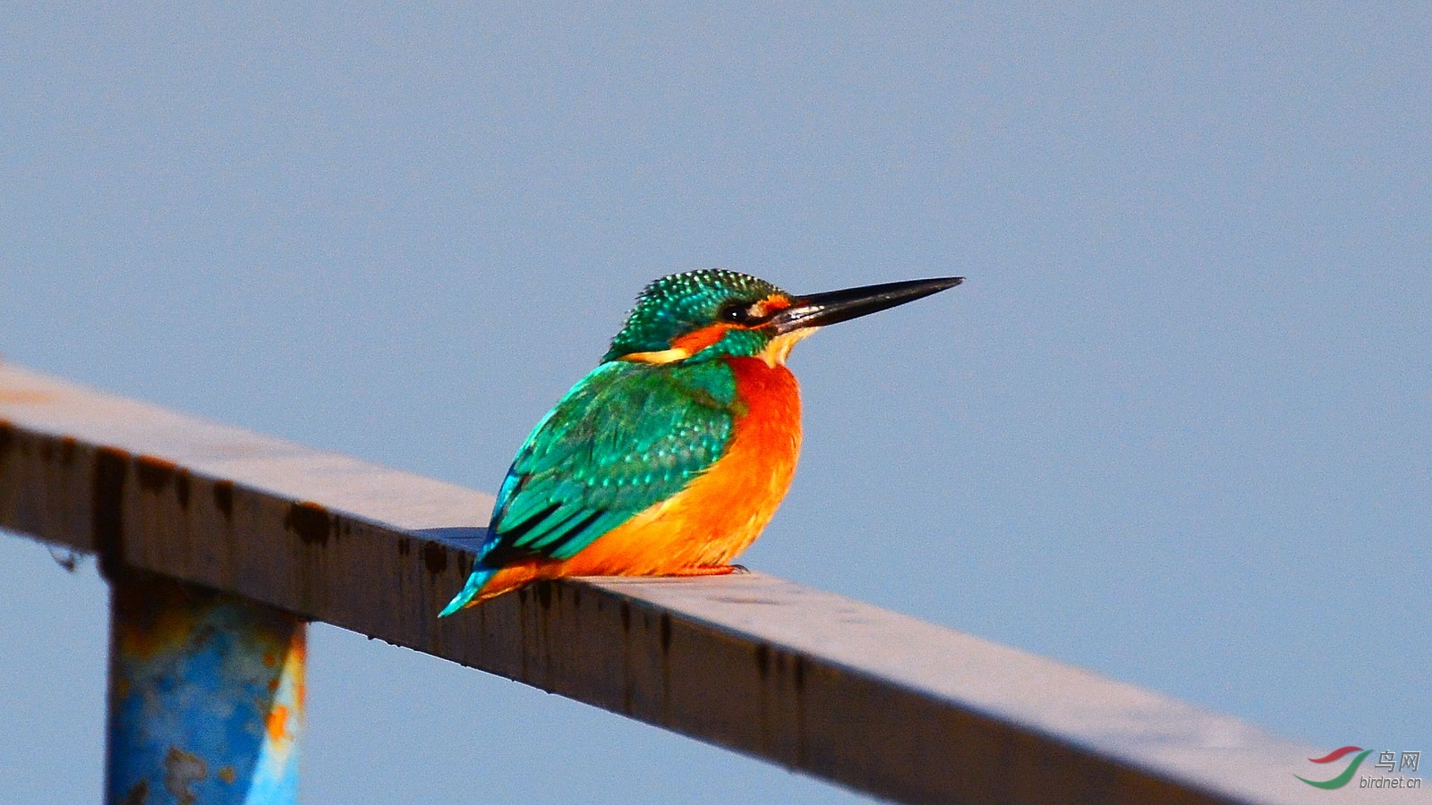 DSC_6378.JPG