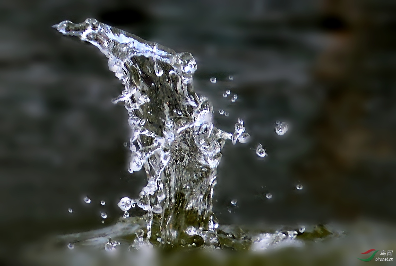 DSC_3041_conew2.jpg