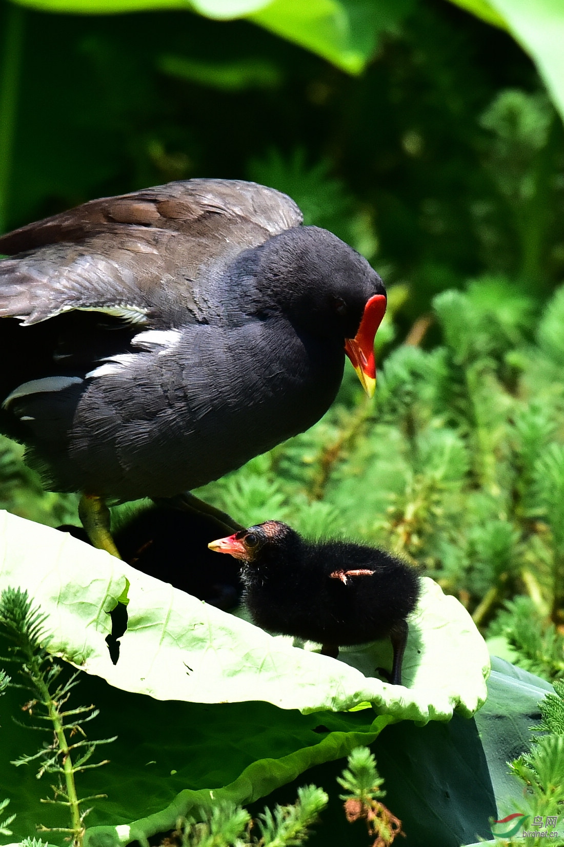 DSC_0789.JPG