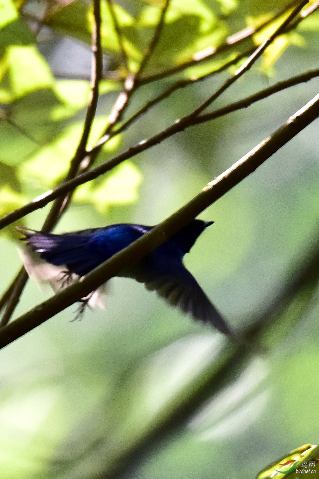 DSC_0386.JPG