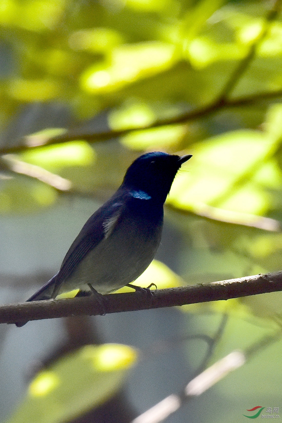DSC_0389.JPG