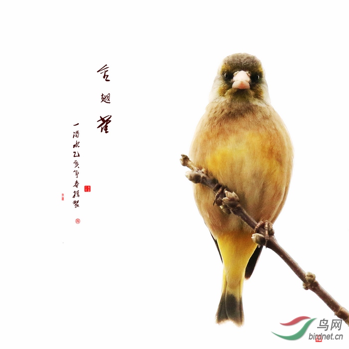 898A9662b.jpg