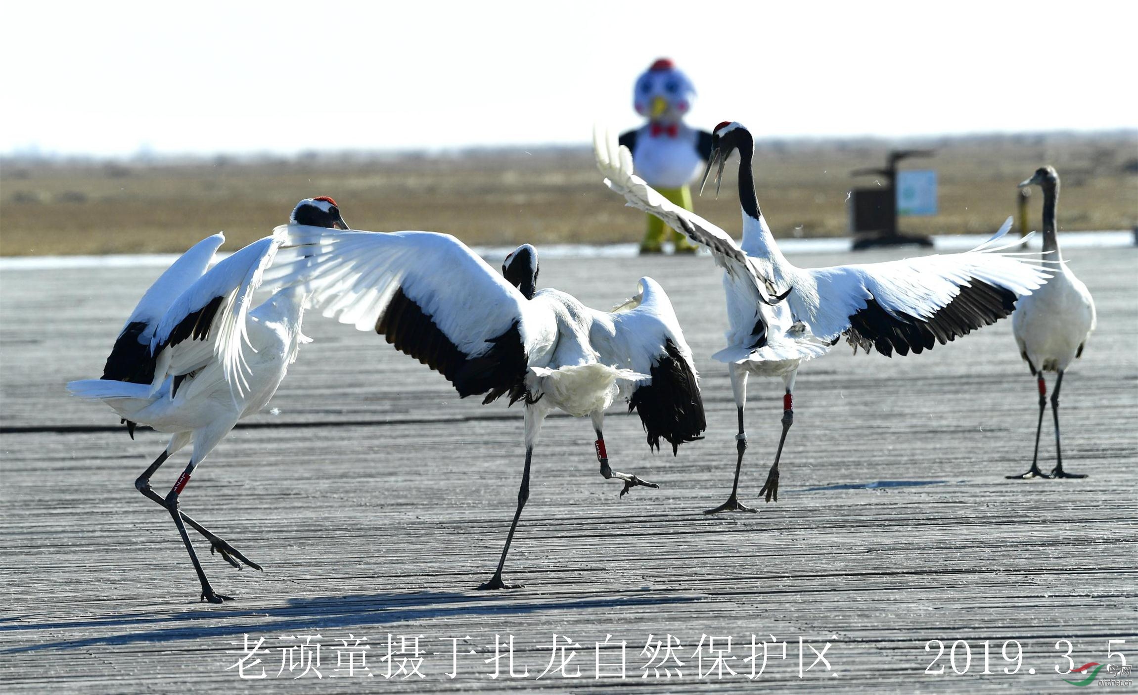 _DSC0745_����.jpg