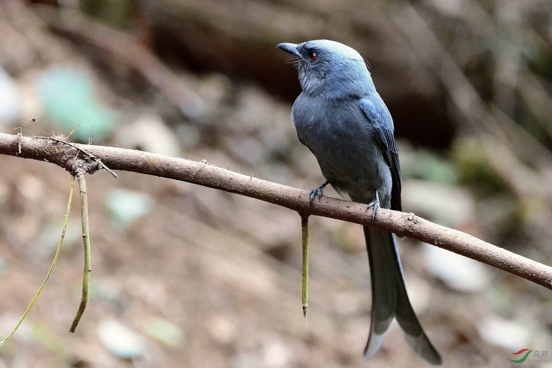 DSC_7281.JPG