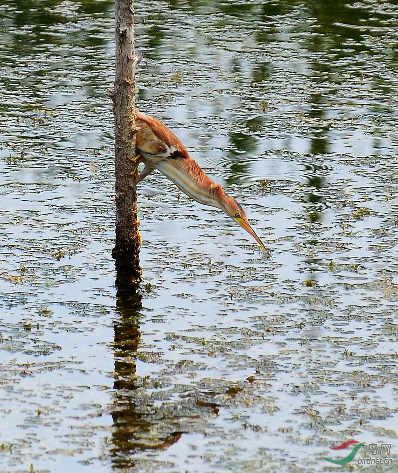 DSC_5769.JPG