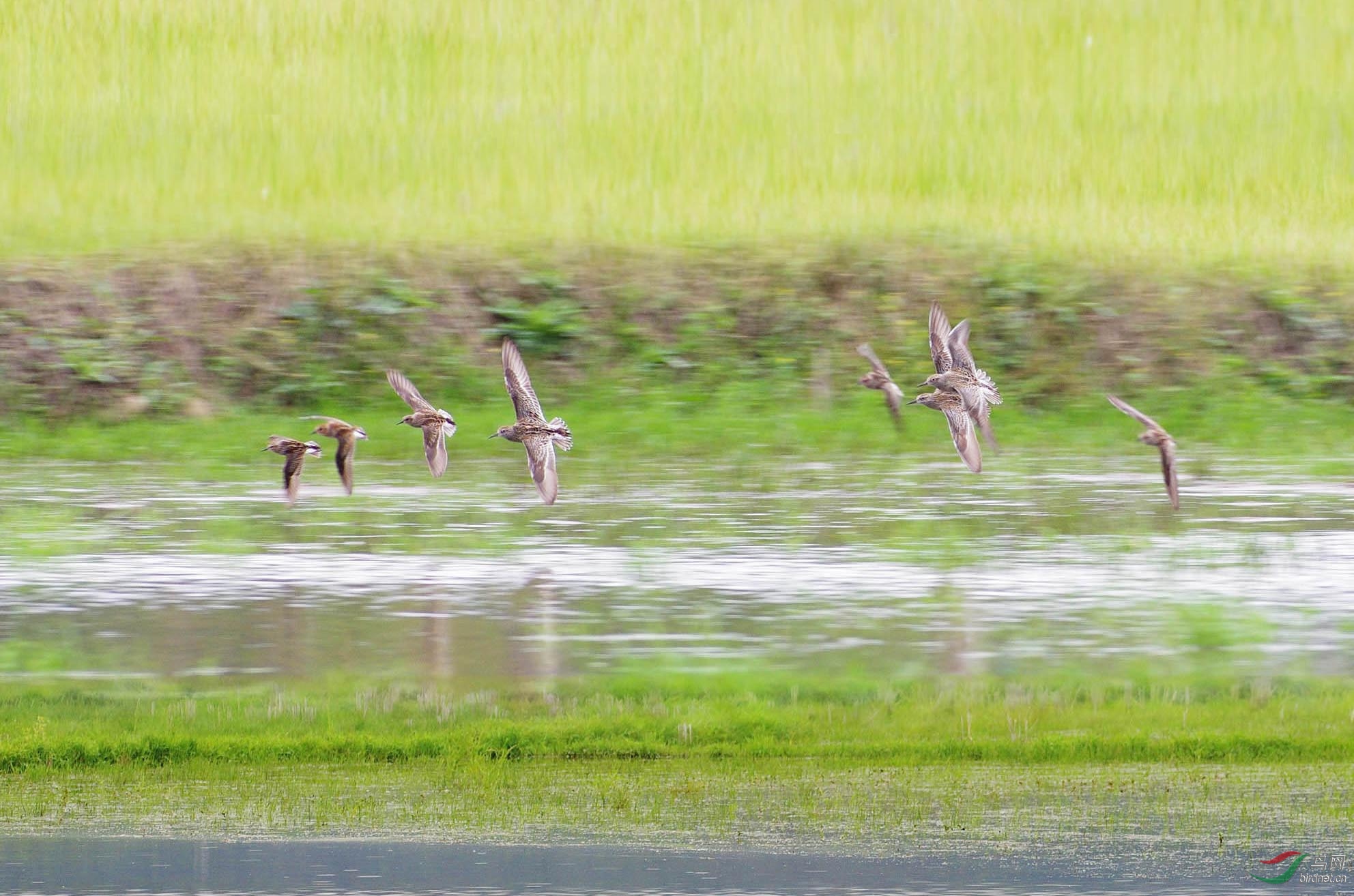 201404269145-5-625.jpg