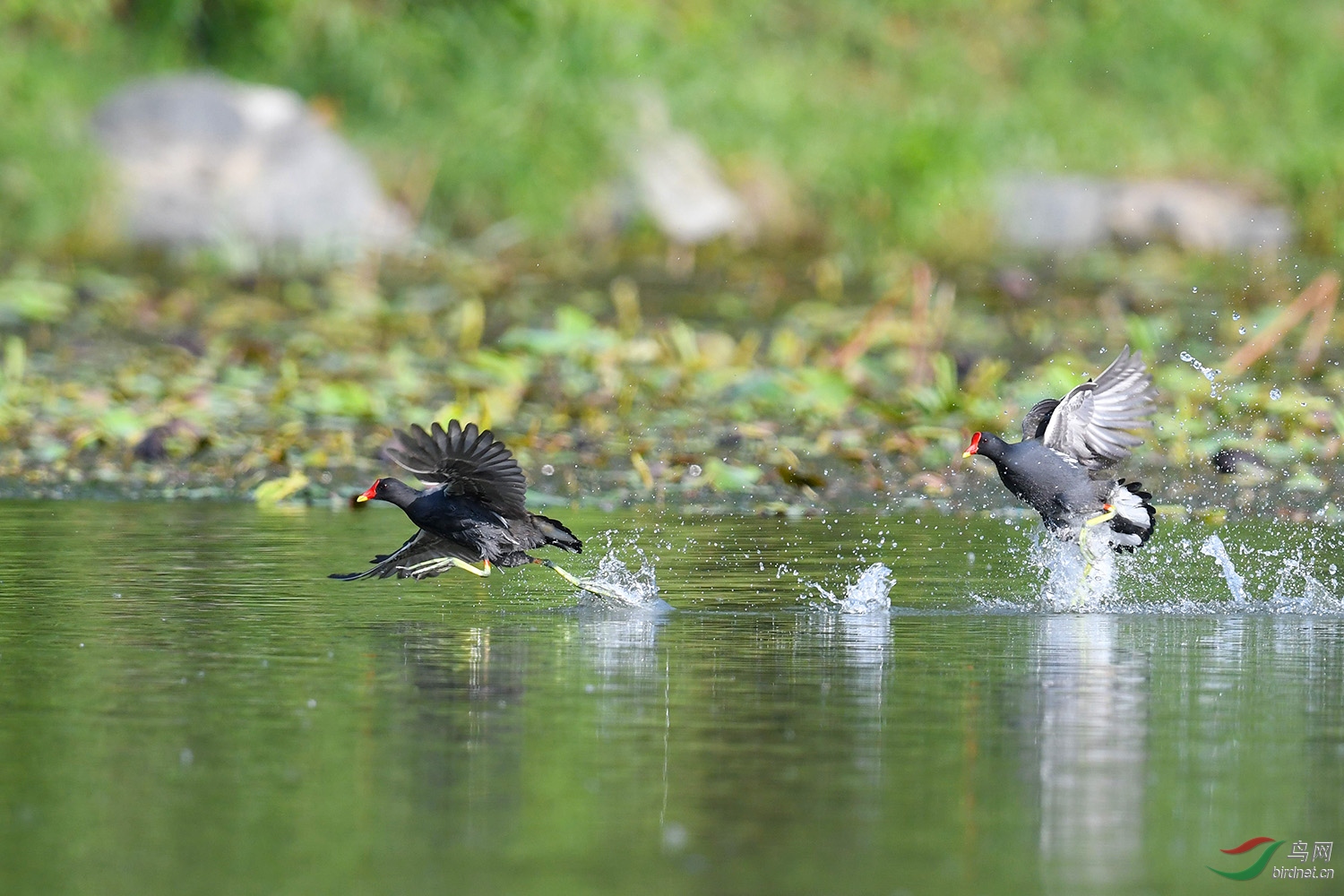 DSC_0580fb.jpg