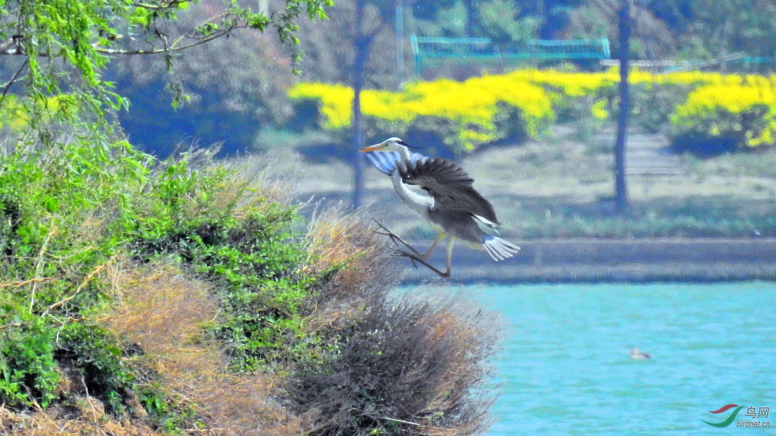 DSCN8572.JPG