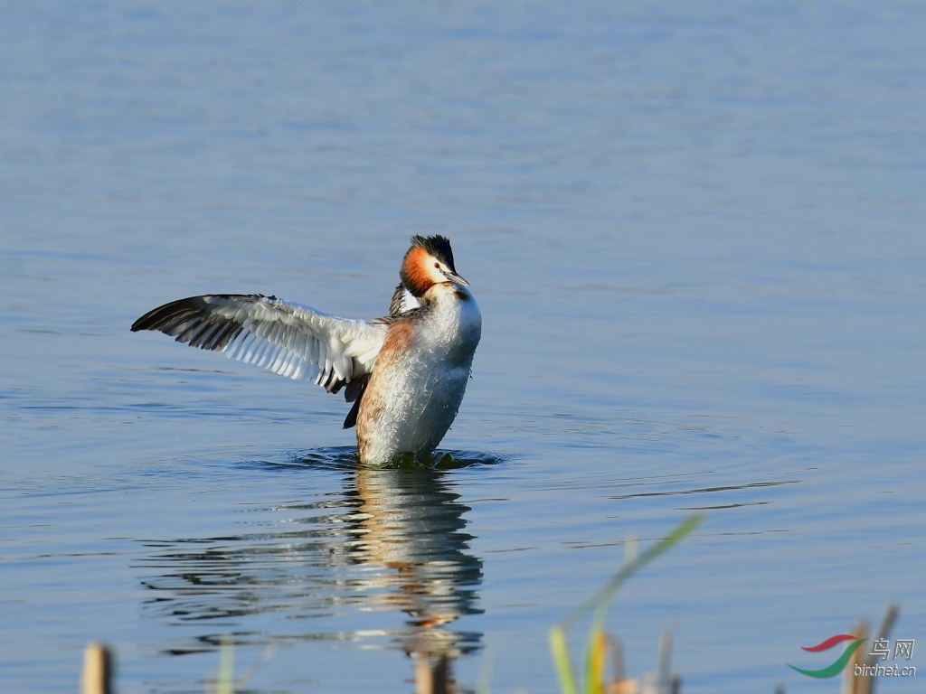 DSC_2556_��ͼ��.jpg