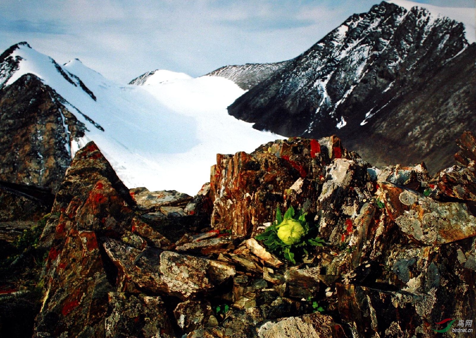 0422-6.jpg