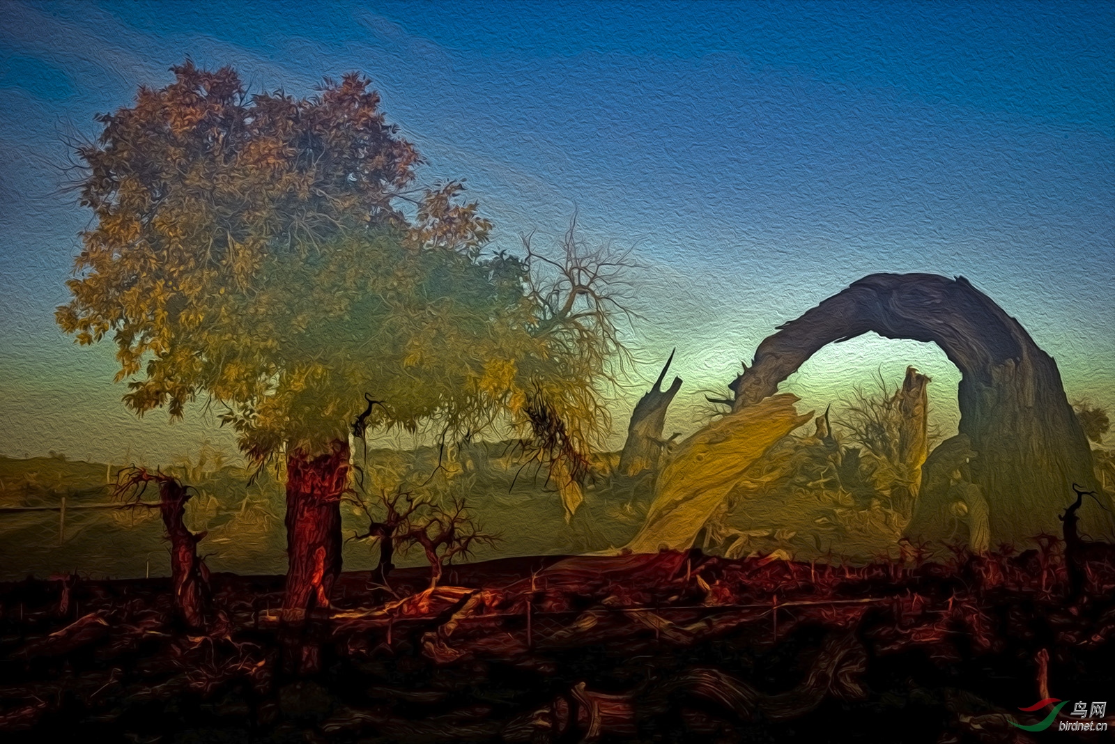 _D8A7766_2671a3.jpg