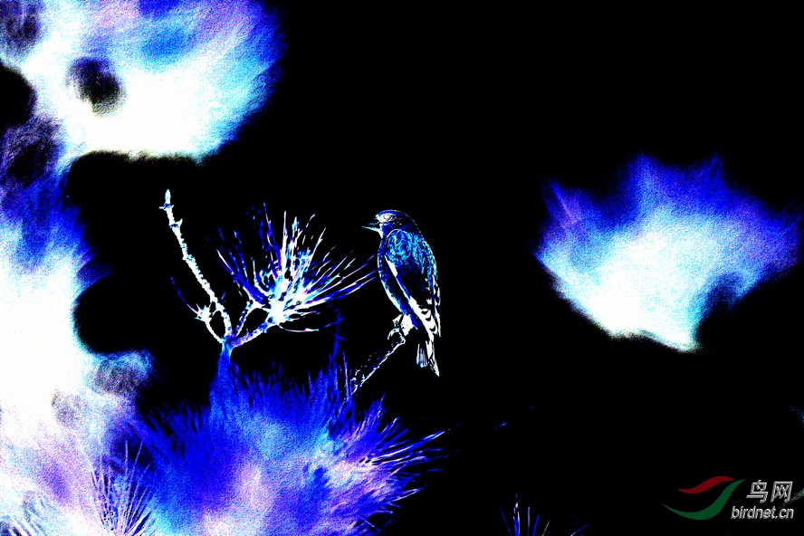 AQ1I2327_����_����.JPG