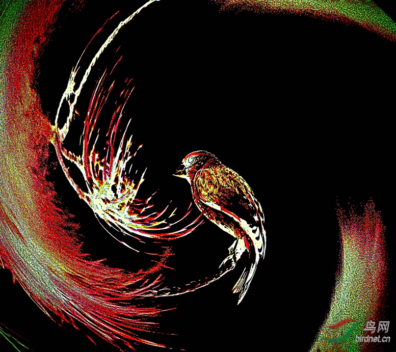 AQ1I2327_����_����1_����2_����_����.JPG