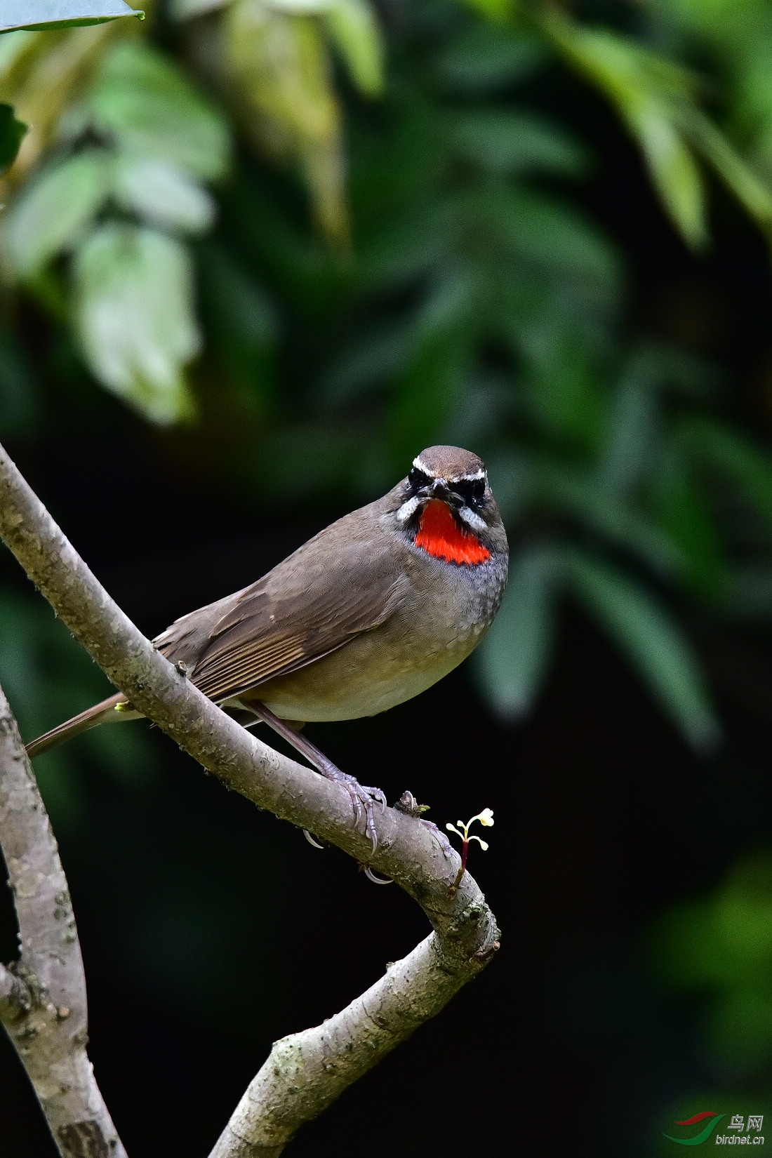 DSC_0394.JPG