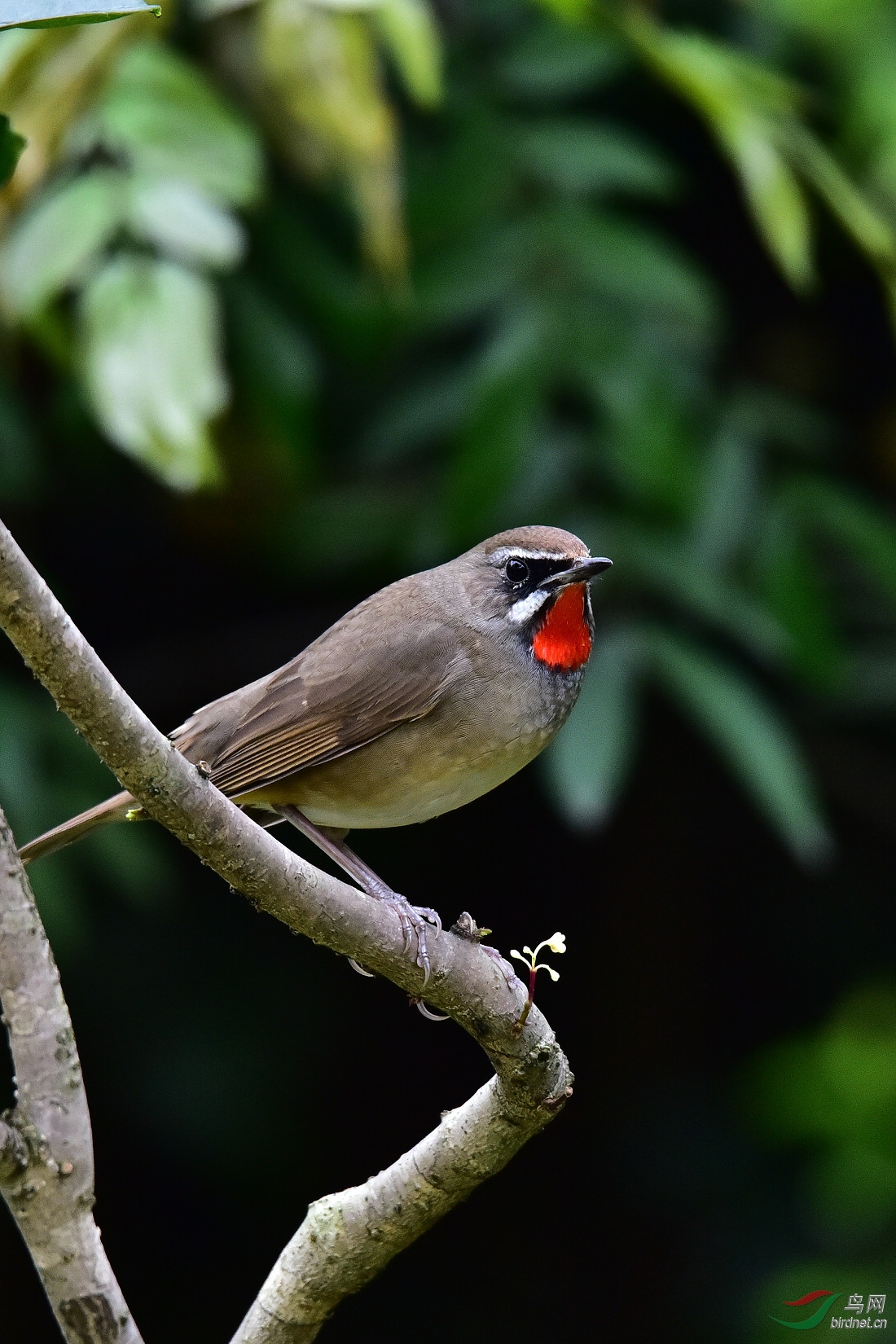 DSC_0397.JPG