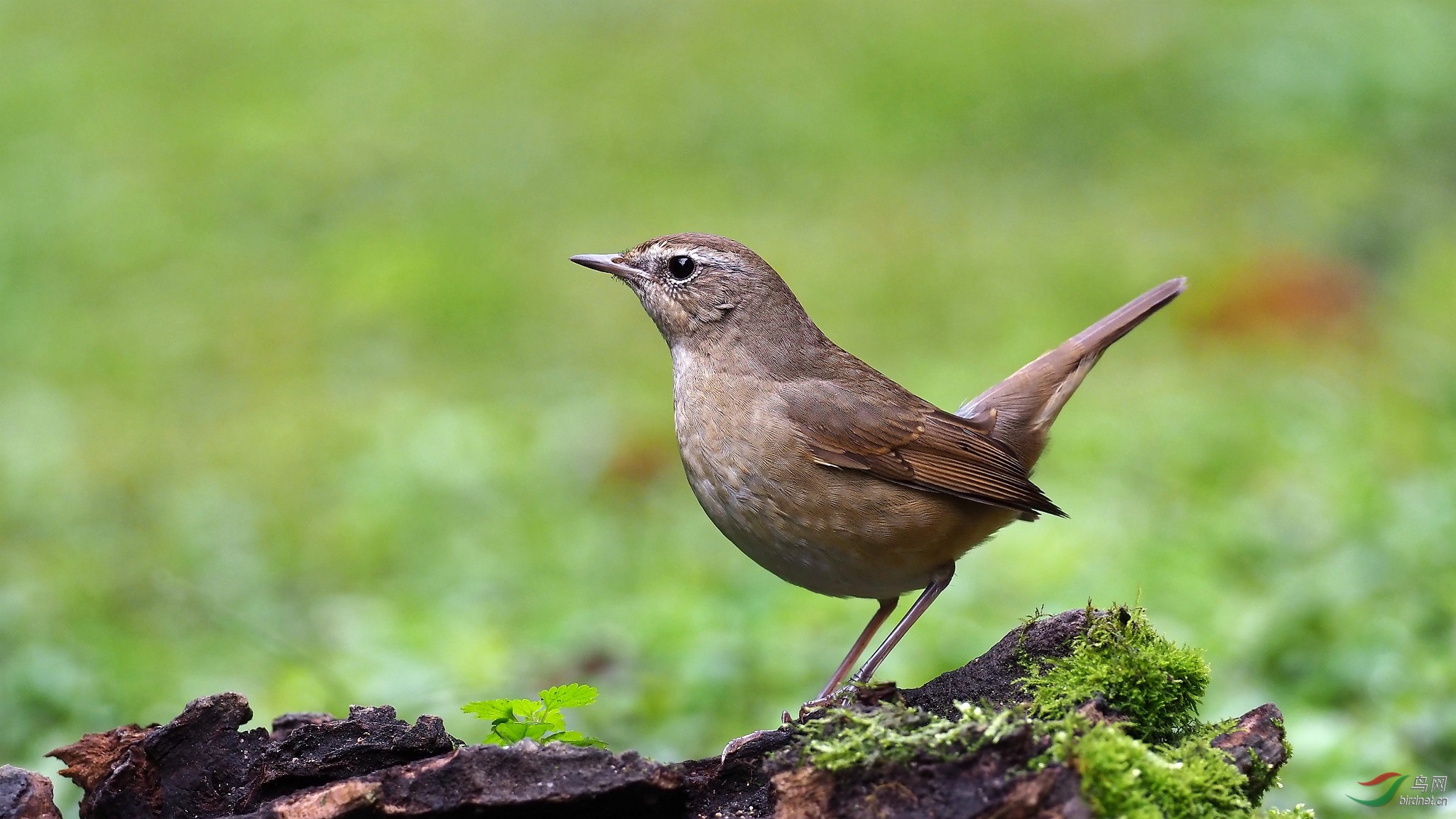 PA160936_����_DxO (����).jpg