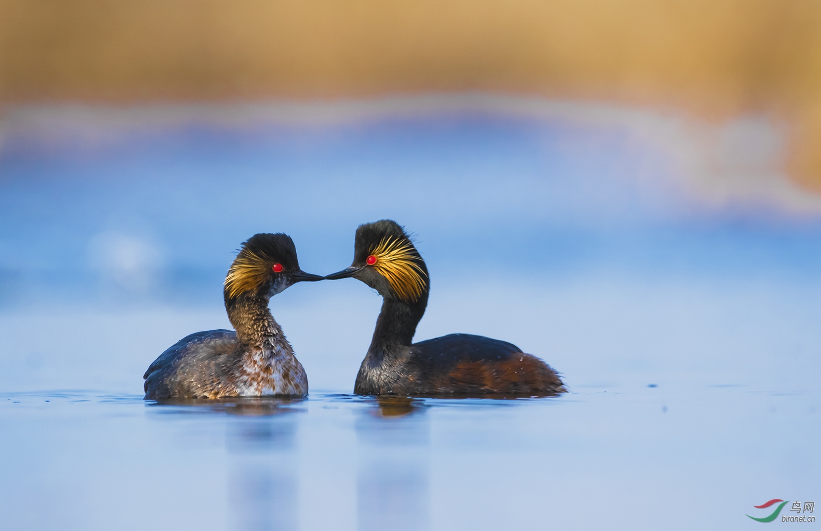 �����Թ�����